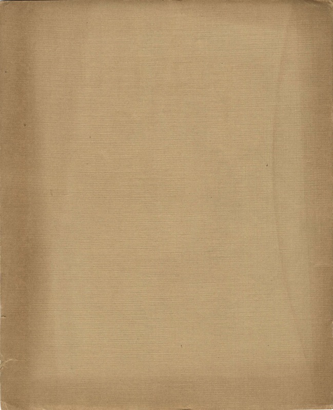 036_ece02b591289efcb8a1e003003b35670bf943114 Large.jpeg