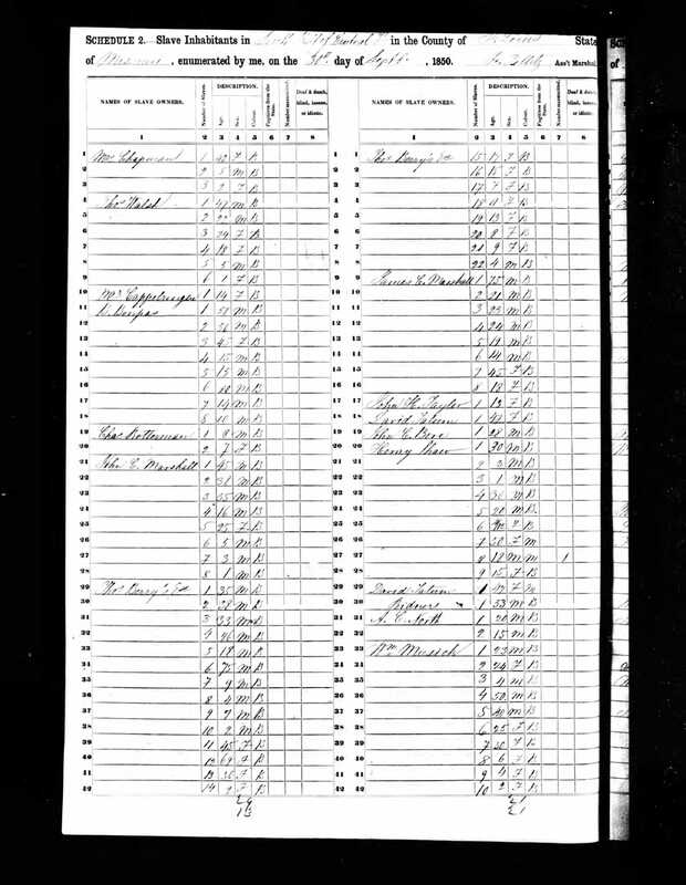 1850 Slave Inhabitant Schedule, St. Louis Central South Half, Henry Shaw